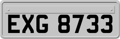 EXG8733