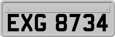 EXG8734