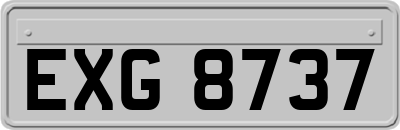 EXG8737