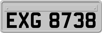 EXG8738