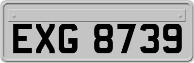 EXG8739