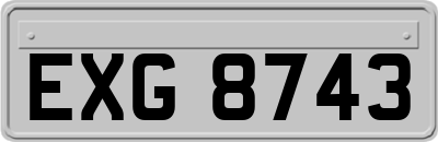 EXG8743