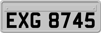EXG8745