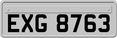 EXG8763