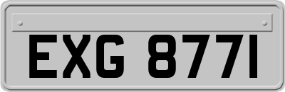 EXG8771