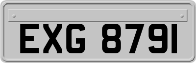 EXG8791