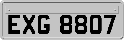 EXG8807