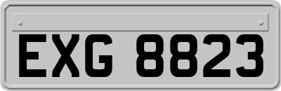 EXG8823