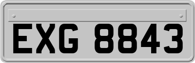 EXG8843