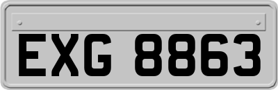 EXG8863