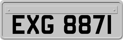 EXG8871