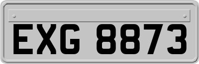 EXG8873