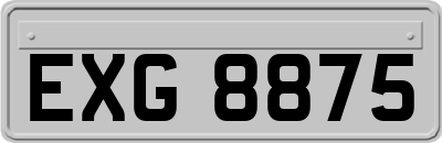 EXG8875