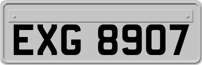EXG8907