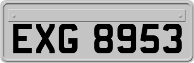 EXG8953