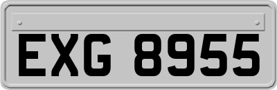 EXG8955