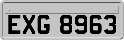 EXG8963