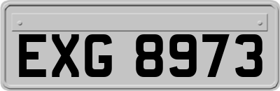 EXG8973