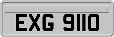 EXG9110