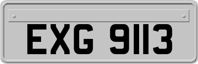EXG9113