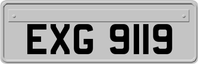 EXG9119