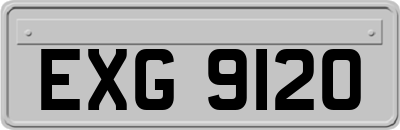 EXG9120