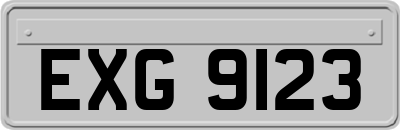 EXG9123