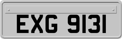 EXG9131