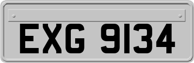 EXG9134