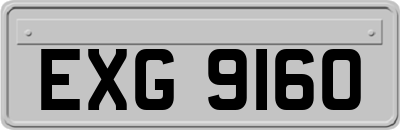 EXG9160