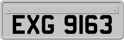 EXG9163