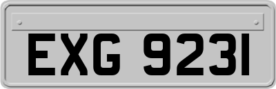 EXG9231