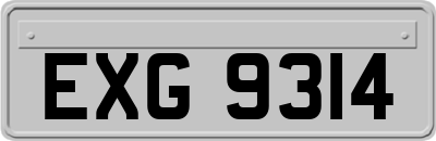 EXG9314