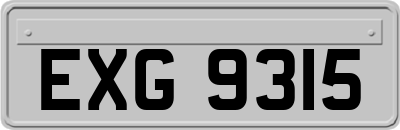 EXG9315
