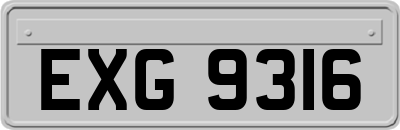 EXG9316