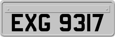 EXG9317