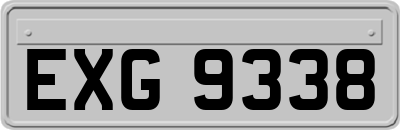 EXG9338
