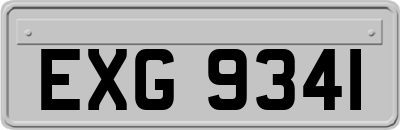 EXG9341