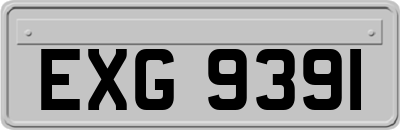 EXG9391