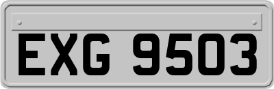 EXG9503
