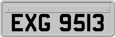 EXG9513