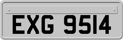 EXG9514