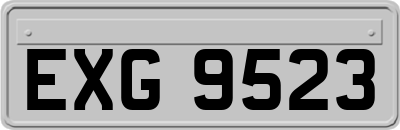 EXG9523