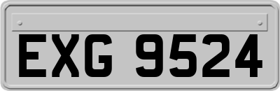 EXG9524