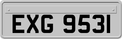 EXG9531