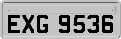 EXG9536