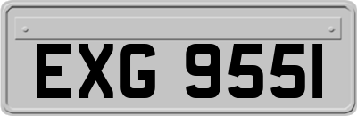 EXG9551