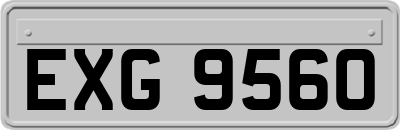 EXG9560