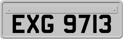 EXG9713