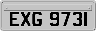 EXG9731
